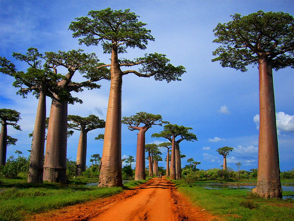 agence de voyage antananarivo madagascar