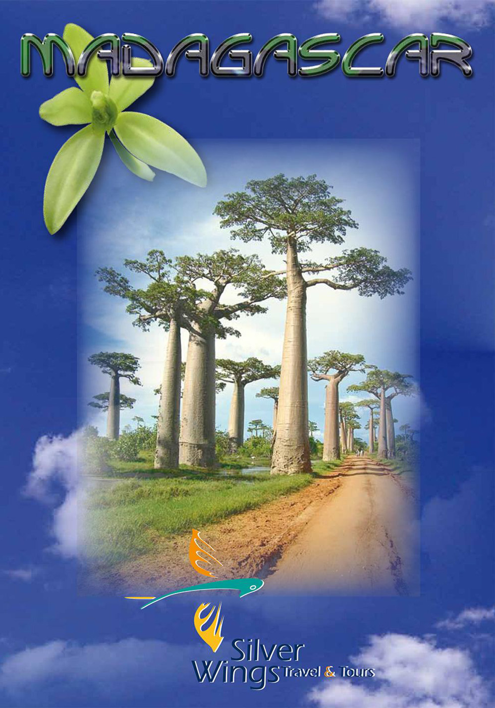 madagascar travel brochure