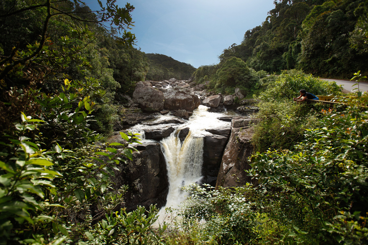 Paysage parc Ranomafana